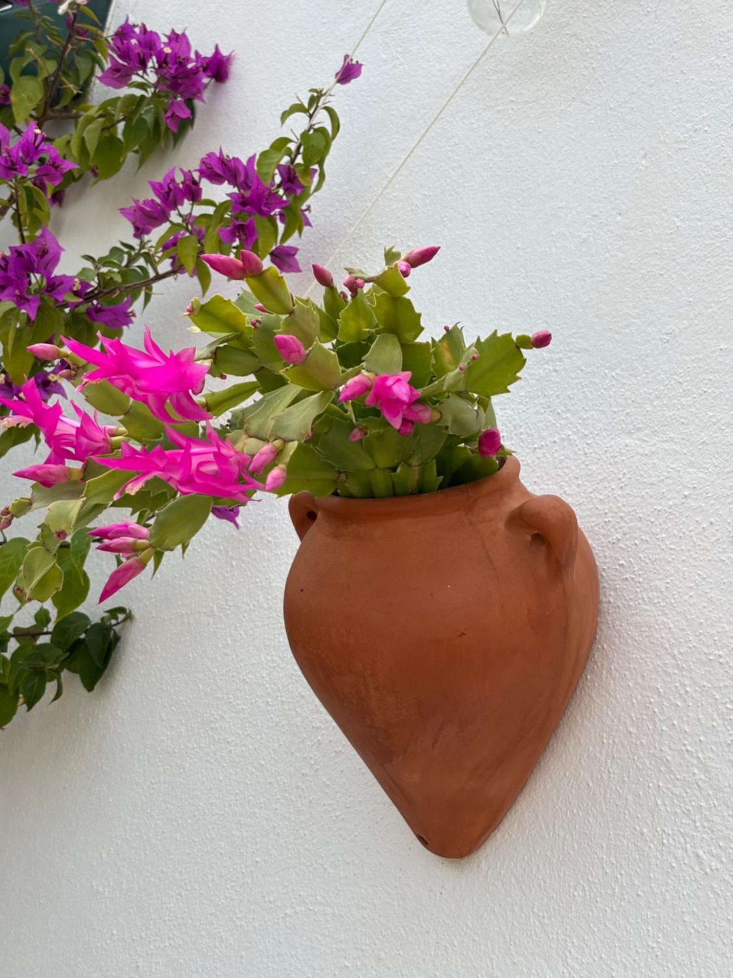 Casa Alta B&B Torrox Dış mekan fotoğraf